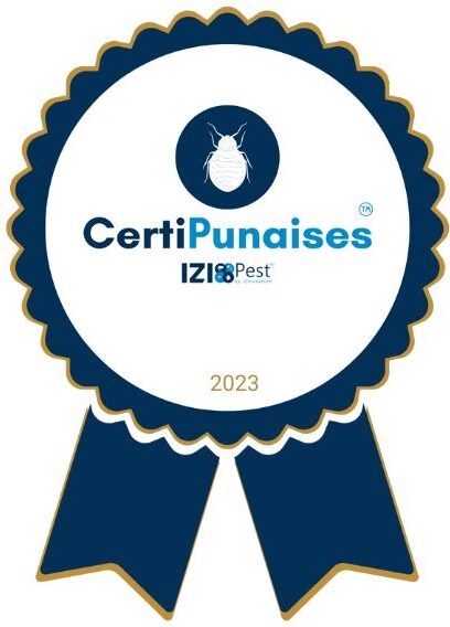 Désinsectisation experte pour rats, punaises de lit, guêpes, frelons et autres nuisibles à Marseille et Toulon.