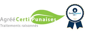 Désinsectisation experte pour rats, punaises de lit, guêpes, frelons et autres nuisibles à Marseille et Toulon.