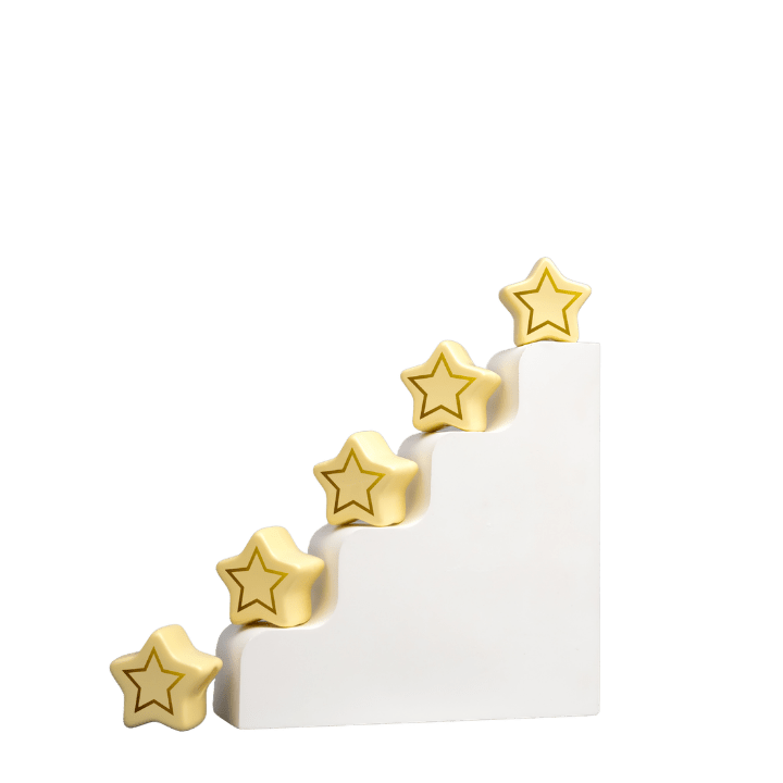 Démoustication à Toulon