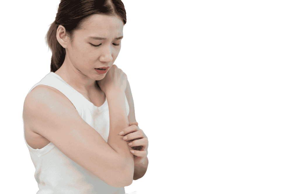 Éliminer les puces à Toulon