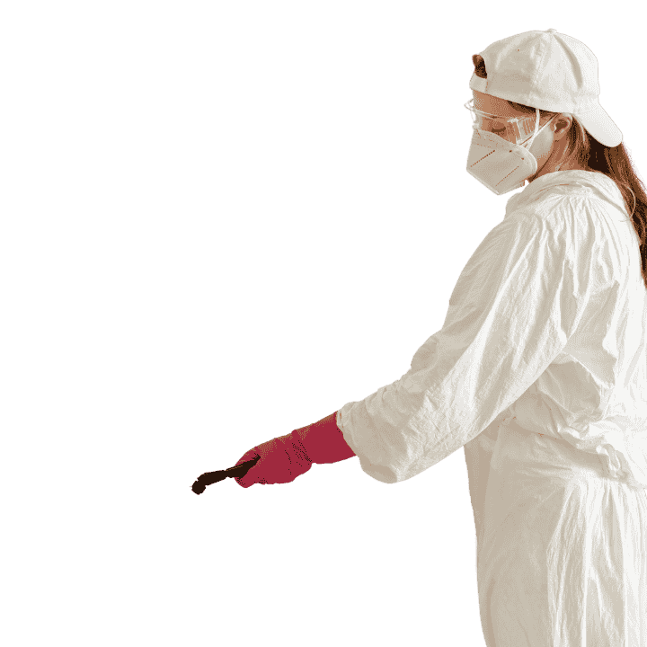 Désinfection et Décontamination contre les puces à Toulon